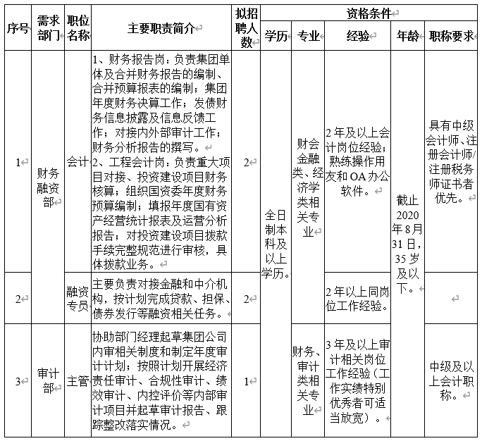 2020河南洛阳城乡建设投资集团有限公司招聘公告(5人)